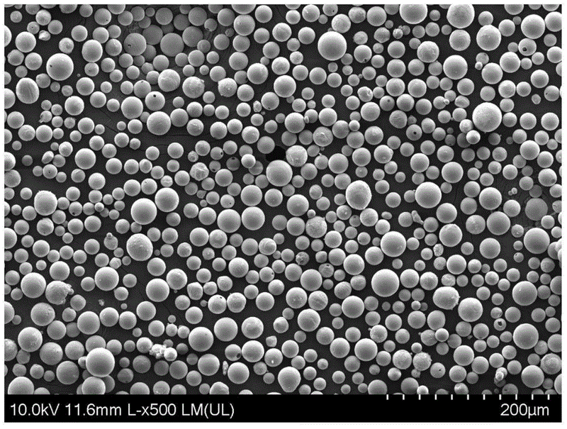 Cobalt Chromium molibdeno in lega di tungsteno (cotocrow)-PolvereSpolica